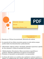 Nucleo, Ciclo Celular y Apoptosis. 2020