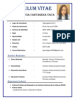 Curriculum Karla Patricia Cartagena Vaca