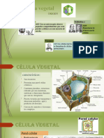 Celula Vegetal