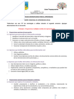 Pauta Con Estrategias DUA para Incorporar en Planificaciones