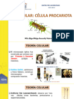 Teoria Celular Celula Procariota