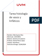 TAREA Histología de Vasos y Linfáticos