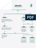 Herencia Genetica Organizador Tema 2