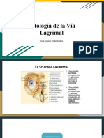 Patología de La Vía Lagrimal