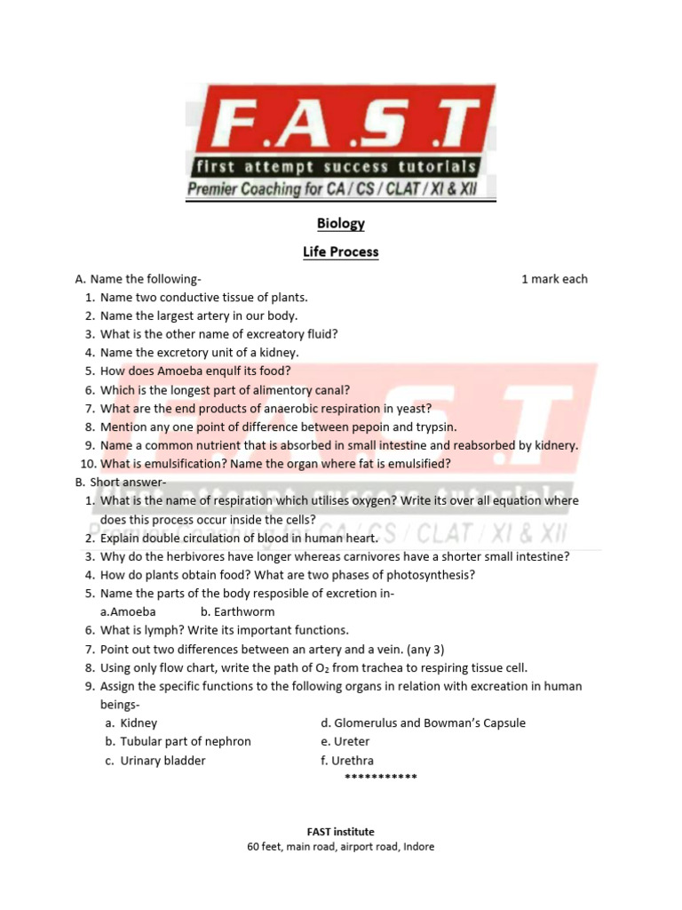 Life Processes Test for Class 10 | PDF
