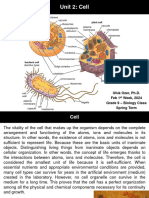 Cell and Organelles