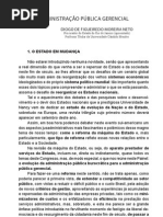 Adm. Púb. Gerencial