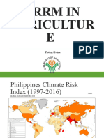 DRR-CCA Intro