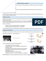 Rebordes Alveolares Residuales