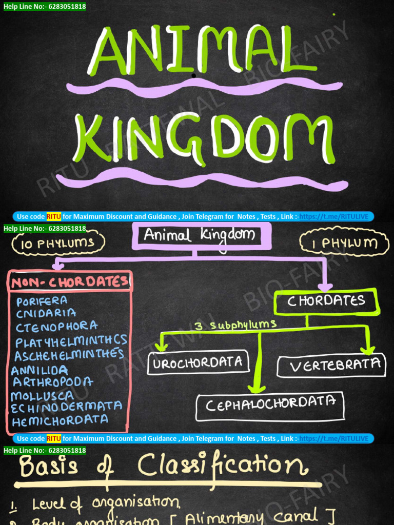 ANIMAL KINGDOM TABLE PDF visual data 3
