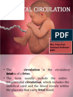 Fetal Circulation