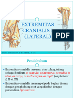 Extremitas Cranialis I.2018