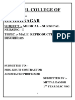 Male Reproductive System 1mittal