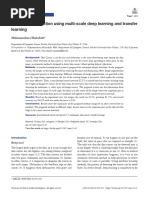 Skin Cancer Detection Using Multi-Scale Deep Learning and Transfer Learning