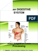 Q4 Week 3 Human Digestive System - PPTX 4th