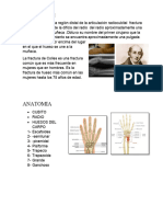 Fractura Callus