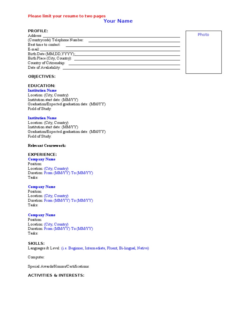 CV Template for Job Applications | PDF
