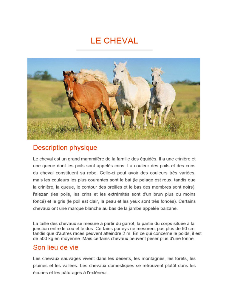 Description physique du cheval | PDF | Livres de cuisine, nourriture et ...