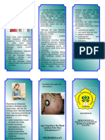 Leaflet Pemeriksaan Ibu Hamil