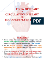 Blood Circulation of Heart