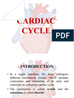 Cardiac Cycle