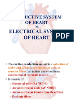 Conductive System of Heart