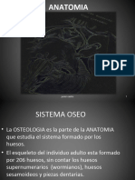 Esqueleto General Anatomia UNLP