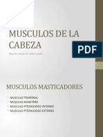 MUSCULOS DE LA CABEZA Anatomia UNLP