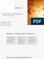 Proiect π Marin Botnari PDF