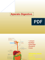 TP-N5-Aparato-digestivo-y-glándulas-anexas Histo UNLP