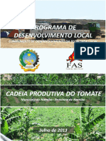 Cadeia Produtiva Do Tomate - Namibe