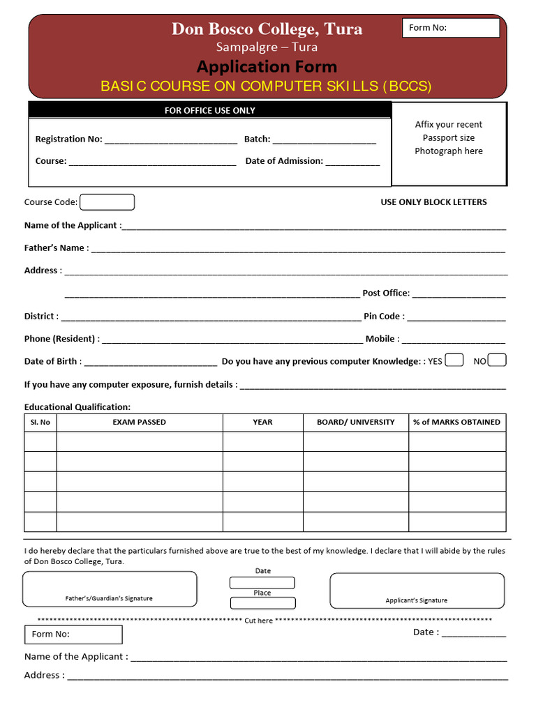 Application Form - Computer Skills | PDF