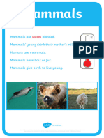 New Zealand-Animal-groups Posters G1