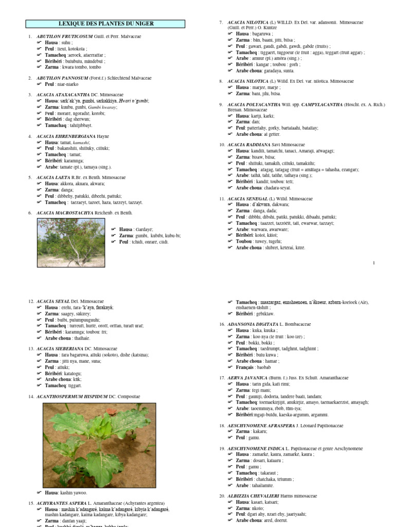 Lexique des plantes du Niger | PDF