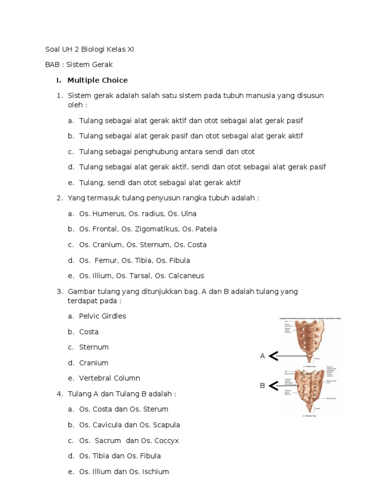 Soal Pengayaan Hots Biologi Kls Xi Smt 1