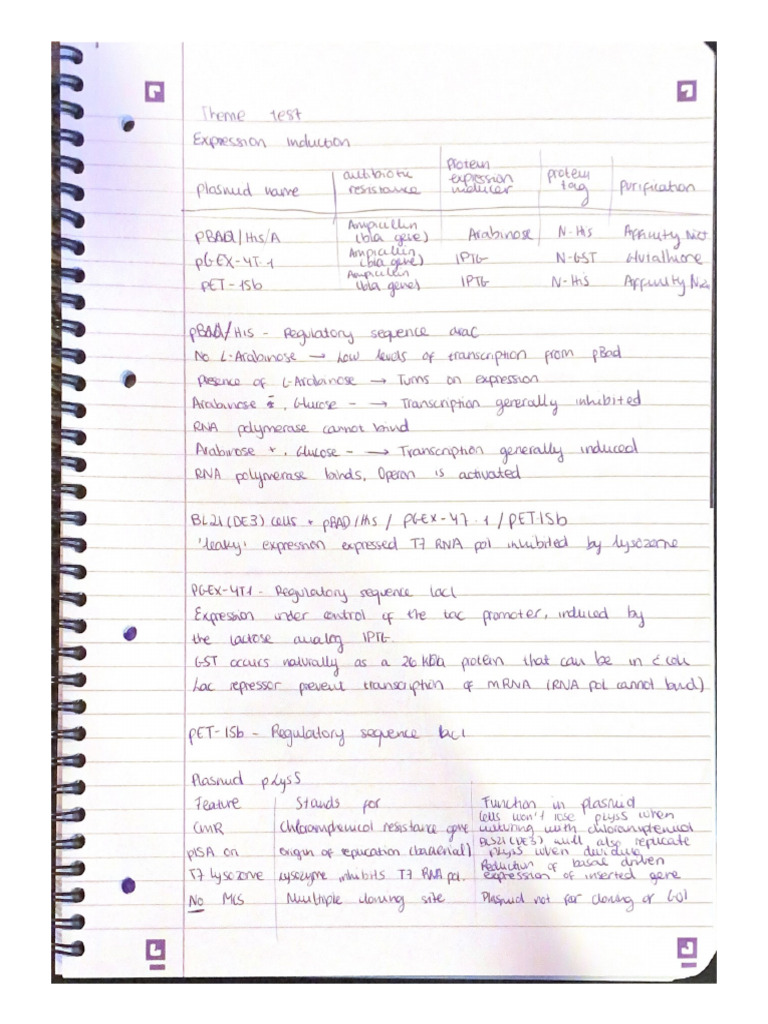 Molecular Research Notes | PDF