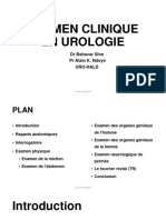Examen Urologique