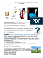 1 RP-CTA5-K03 - Ficha 3 MEDIDA CON LAS MAGN ESCALARES Y VECTORIALES (1)