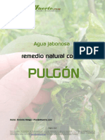 Eliminar Pulgon Agua Jabonosa