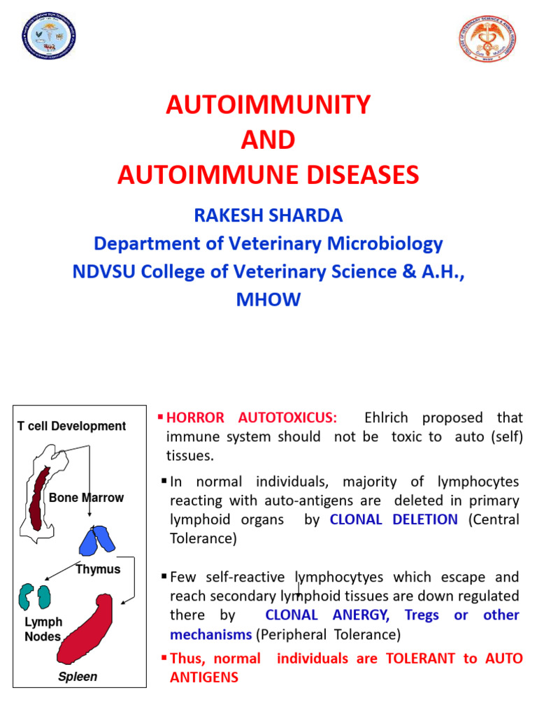 Autoimmunity and Autoimmune Disorders | PDF | Autoimmunity | Autoimmune ...