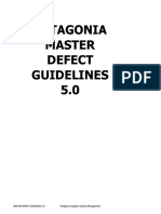 MASTER DEFECT GUIDELINE 5.0.final Draft