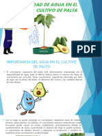 NECESIDAD DE AGUA EN EL CULTIVO DE PALTA