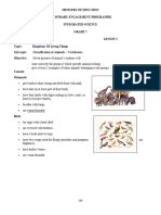 Classification of Animals - Vertebrates