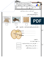 فروض النشاط العلمي المستوى الثالث الابتدائي الدورة الاولى المرحلة 1 النموذج 7