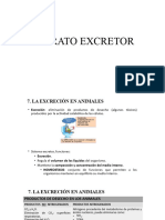 Aparato Excretor