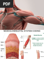 Musculoskeletal Updated