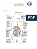 Anatomy of Ulcerative Colitis