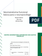 Neuroanatomia Funcional Básica para o Neuropsicólogo