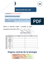 Replicación Del Adn