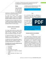 Manual de Aproximación A La Anatomía Del Sistema Linfático Del DR Reinaldo Palma
